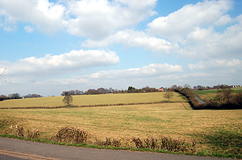 Countryside at Aley Green March 2012